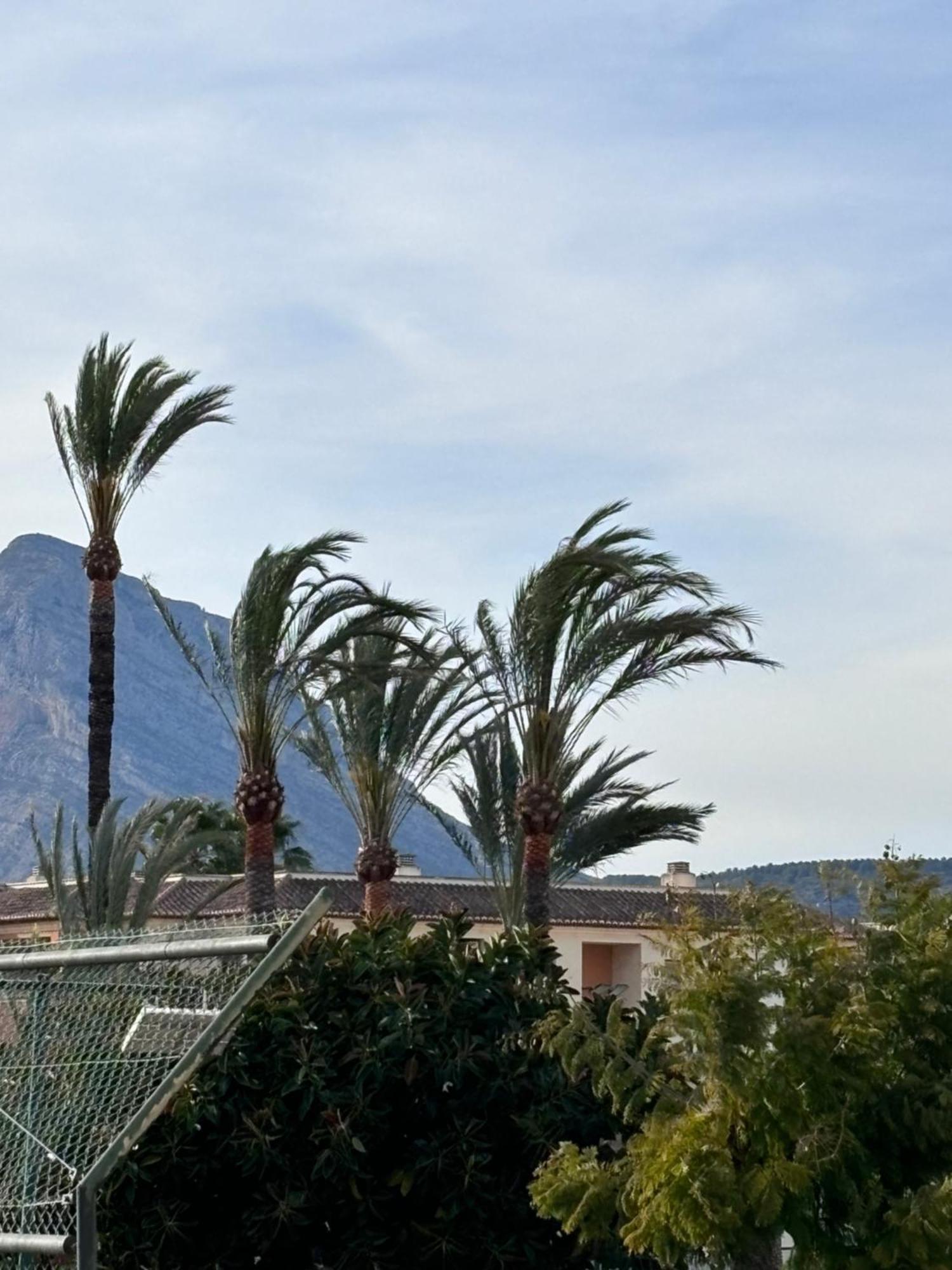 Apartamento Tenis Club En Javea Platja de Larenal Dış mekan fotoğraf